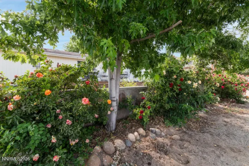 15 Connie, Reno, Nevada 89521, 3 Bedrooms Bedrooms, ,2 BathroomsBathrooms,Residential,Residential,Connie,0,260007509