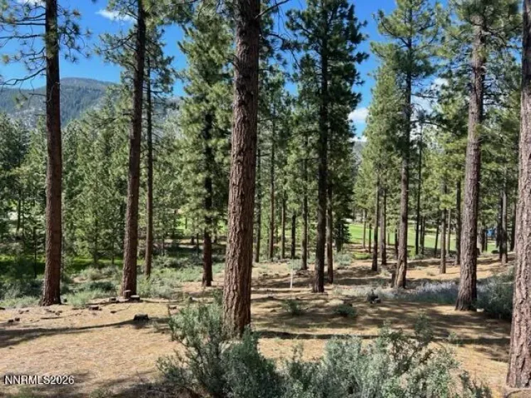 191 Cartwright, Carson City, Nevada 89705, ,Land,Residential,Cartwright,0,260007518