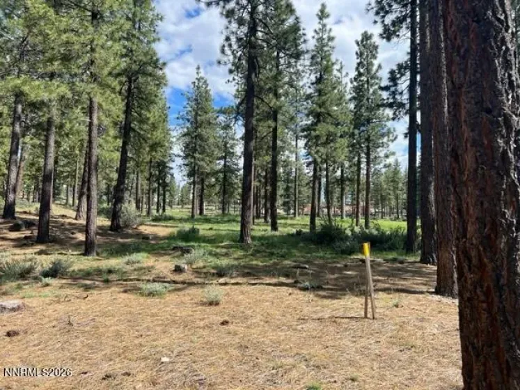 191 Cartwright, Carson City, Nevada 89705, ,Land,Residential,Cartwright,0,260007518