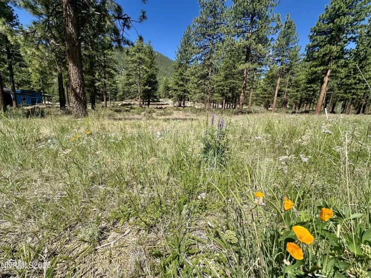 3355 Golf Club, Carson City, Nevada 89705, ,Land,Residential,Golf Club,0,260007625