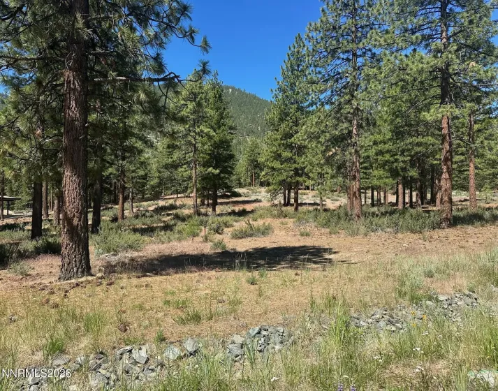3355 Golf Club, Carson City, Nevada 89705, ,Land,Residential,Golf Club,0,260007625