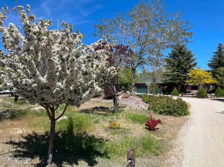 3667 Summer Hill, Carson City, Nevada 89705, 3 Bedrooms Bedrooms, ,2 BathroomsBathrooms,Residential,Residential,Summer Hill,0,260007657