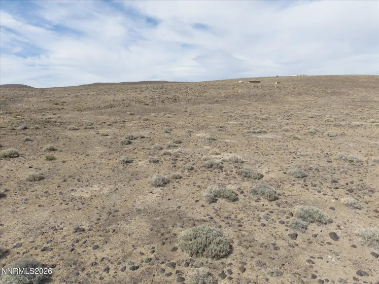 021-451-49 Hwy 95A, Fernley, Nevada 89408, ,Land,Residential,Hwy 95A,0,260007671