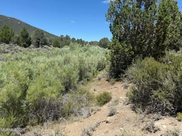 The creek below facing north