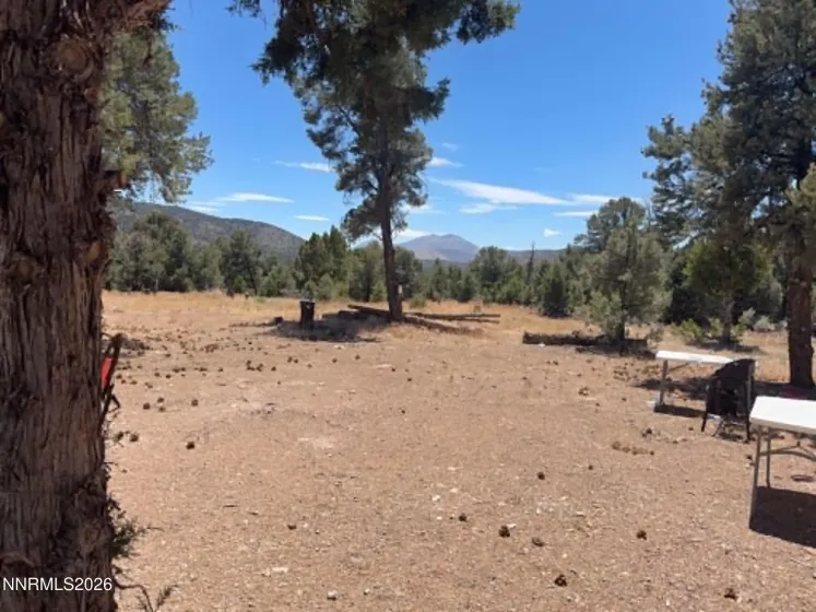 Several trees were removed for fire suppression.