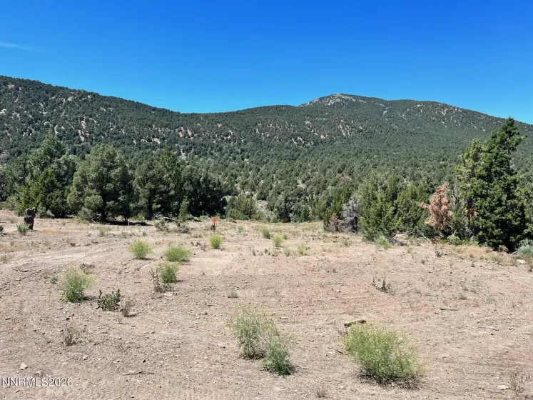 TBD P14, Minden, Nevada 89423, ,Land,Residential,P14,0,260007760