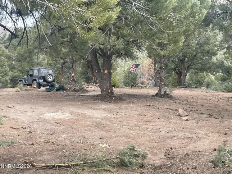 TBD P14, Minden, Nevada 89423, ,Land,Residential,P14,0,260007760