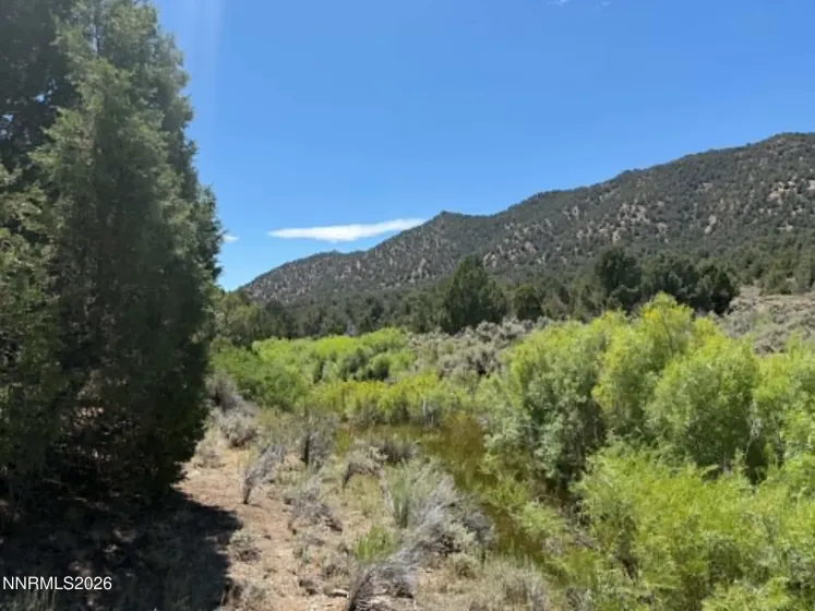 The creek below, facing south