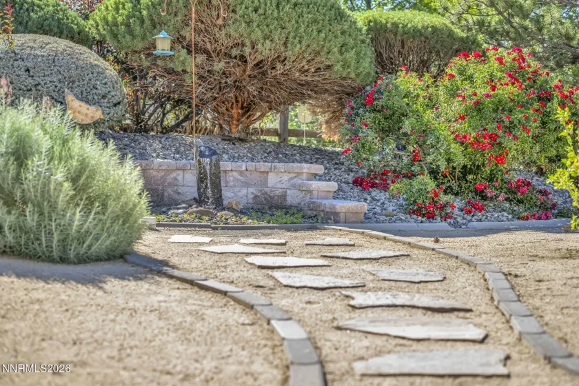 Backyard water feature