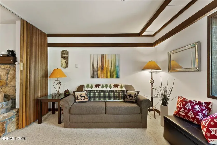 333 Ski, Incline Village, Nevada 89451, 2 Bedrooms Bedrooms, ,2 BathroomsBathrooms,Residential,Residential,Ski,0,260007836