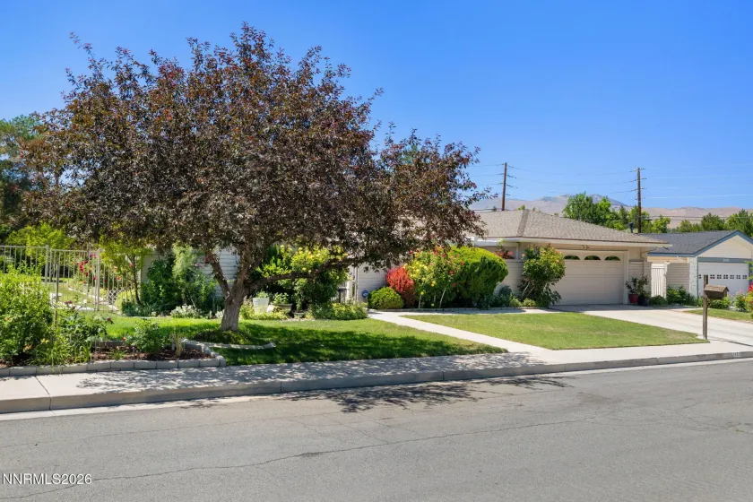1423 Eastwood, Reno, Nevada 89509, 5 Bedrooms Bedrooms, ,3 BathroomsBathrooms,Residential,Residential,Eastwood,0,260007847