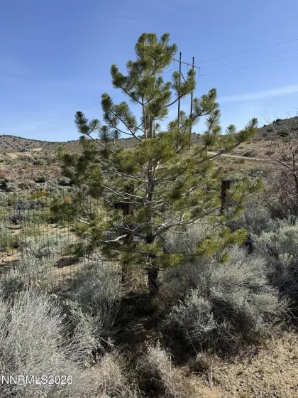 6260 Pursia, Carson City, Nevada 89701, ,Land,Residential,Pursia,0,260004910
