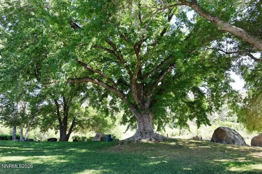 Enjoy greenspace by the Truckee River!