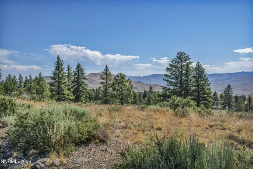 4690 Pinewild, Reno, Nevada 89511, ,Land,Residential,Pinewild,0,260007957