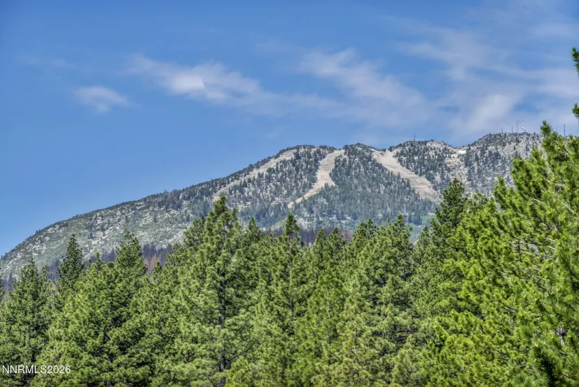 4690 Pinewild, Reno, Nevada 89511, ,Land,Residential,Pinewild,0,260007957