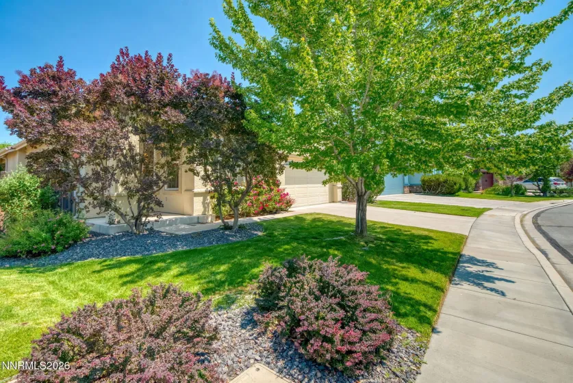 7410 Minkler, Sparks, Nevada 89436, 3 Bedrooms Bedrooms, ,2 BathroomsBathrooms,Residential,Residential,Minkler,0,260007960