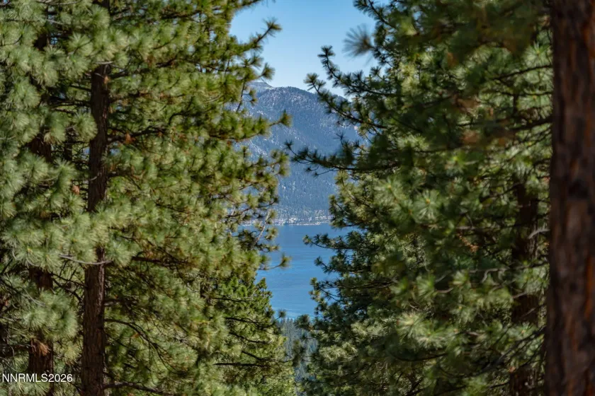 798 Tyner, Incline Village, Nevada 89451, 4 Bedrooms Bedrooms, ,4 BathroomsBathrooms,Residential,Residential,Tyner,0,260007976