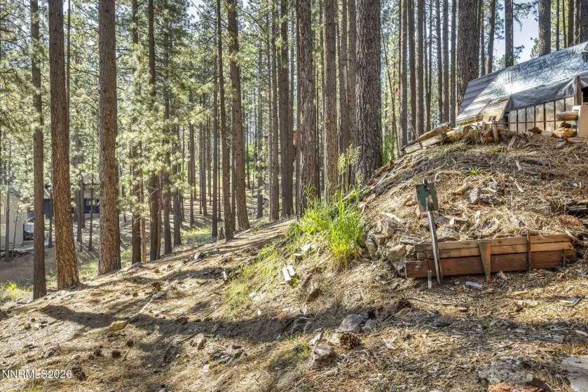 77 Ox Bow, Markleeville, California 96120, 2 Bedrooms Bedrooms, ,1 BathroomBathrooms,Residential,Residential,Ox Bow,0,260007870