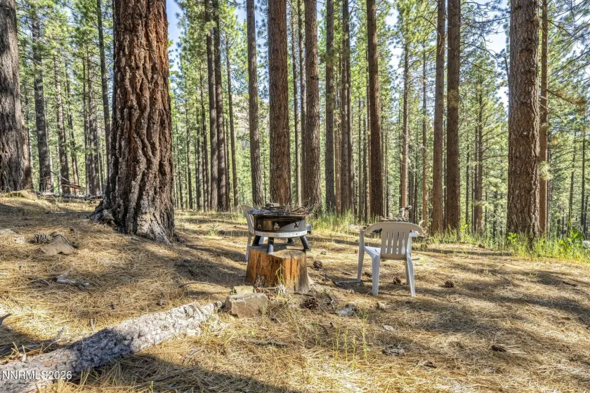 77 Ox Bow, Markleeville, California 96120, 2 Bedrooms Bedrooms, ,1 BathroomBathrooms,Residential,Residential,Ox Bow,0,260007870