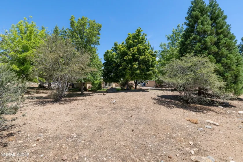 960 Buckbrush, Verdi, Nevada 89439, 3 Bedrooms Bedrooms, ,3 BathroomsBathrooms,Residential,Residential,Buckbrush,0,260008038