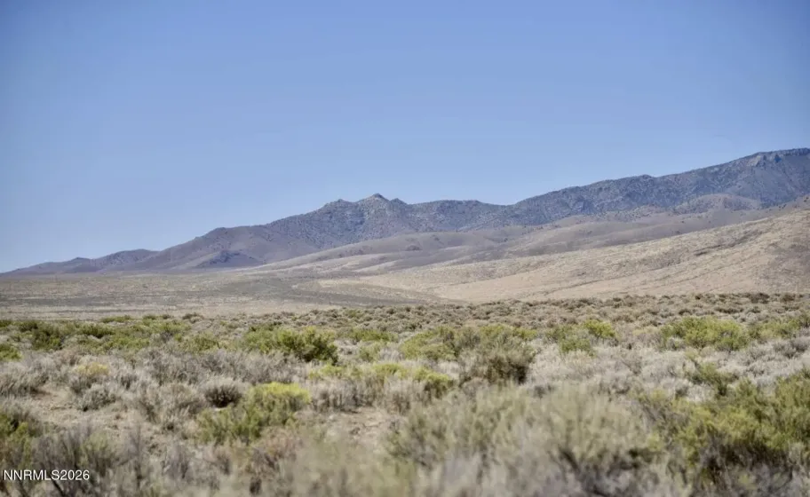 40.28 Acres Buena Vista Valley, Imlay, Nevada 89418, ,Land,Residential,Buena Vista Valley,0,260008047