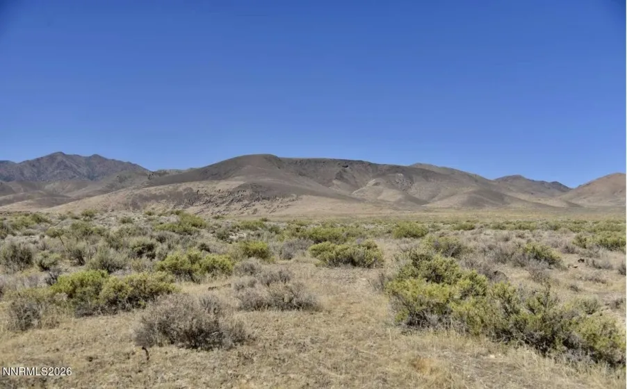 40.28 Acres Buena Vista Valley, Imlay, Nevada 89418, ,Land,Residential,Buena Vista Valley,0,260008047
