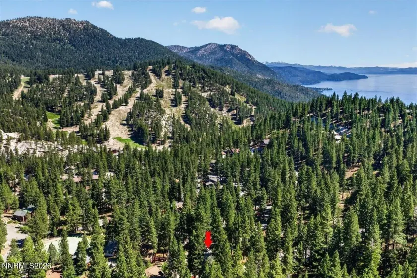 1367 Carinthia, Incline Village, Nevada 89451, 3 Bedrooms Bedrooms, ,2 BathroomsBathrooms,Residential,Residential,Carinthia,0,260008049
