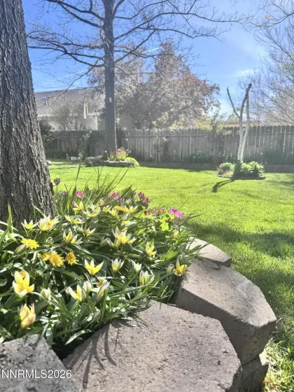 1492 Mary Jo, Gardnerville, Nevada 89460, 3 Bedrooms Bedrooms, ,2 BathroomsBathrooms,Residential,Residential,Mary Jo,0,260008076