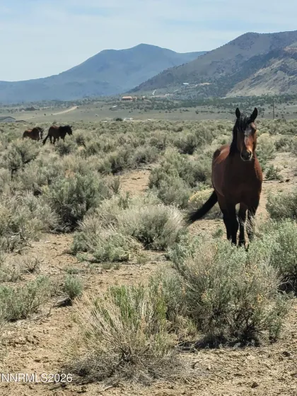 800 Hidden Canyon, Reno, Nevada 89510, ,Land,Residential,Hidden Canyon,0,260008079
