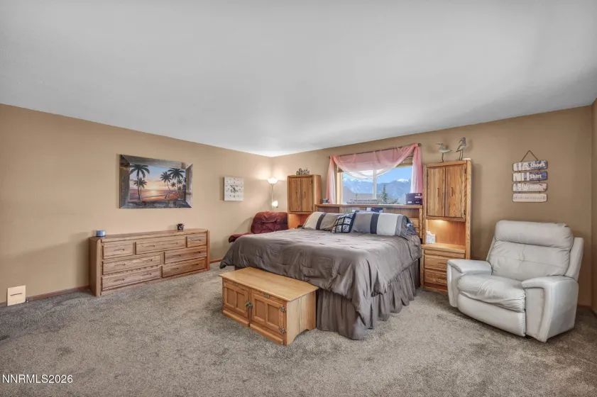 1374 Porter, Minden, Nevada 89423, 3 Bedrooms Bedrooms, ,3 BathroomsBathrooms,Residential,Residential,Porter,0,260003164