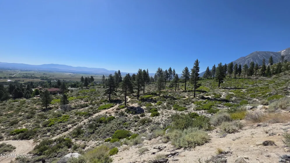 TBD Kingsbury Grade Kingsbury Grade, Gardnerville, Nevada 89460, ,Land,Residential,Kingsbury Grade,0,260008120