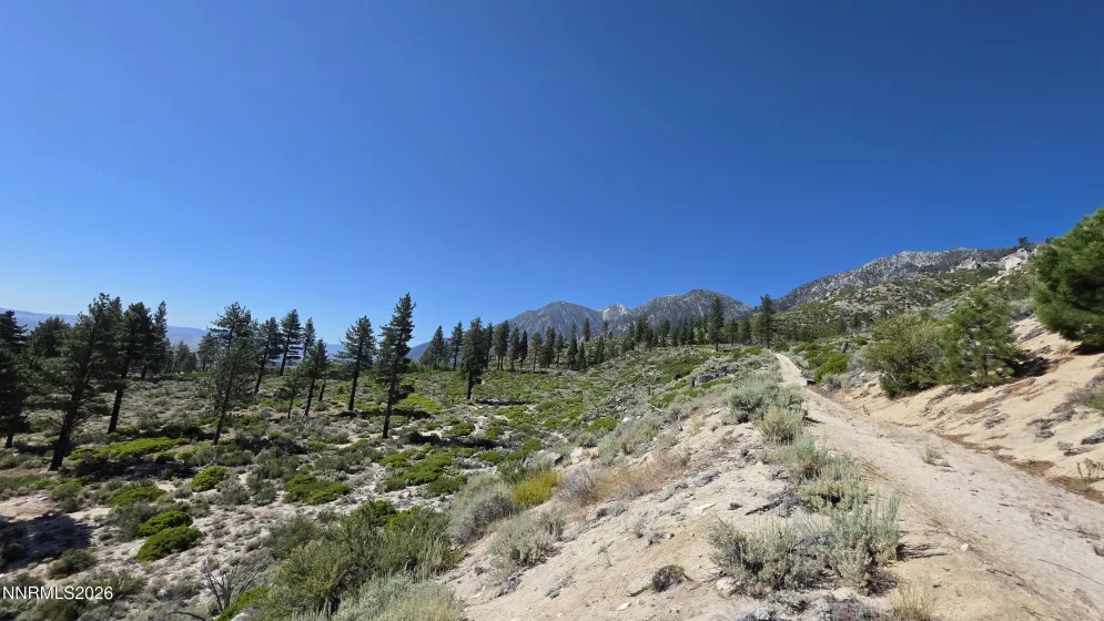 TBD Kingsbury Grade Kingsbury Grade, Gardnerville, Nevada 89460, ,Land,Residential,Kingsbury Grade,0,260008120