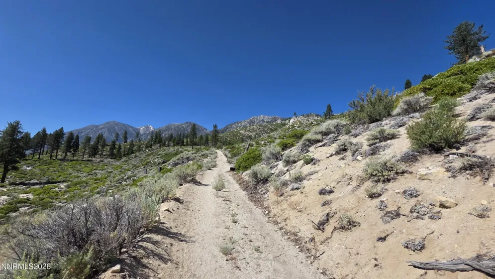 TBD Kingsbury Grade Kingsbury Grade, Gardnerville, Nevada 89460, ,Land,Residential,Kingsbury Grade,0,260008120