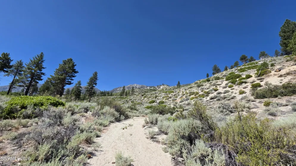 TBD Kingsbury Grade Kingsbury Grade, Gardnerville, Nevada 89460, ,Land,Residential,Kingsbury Grade,0,260008120