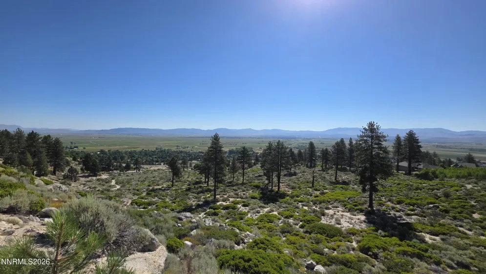 TBD Kingsbury Grade Kingsbury Grade, Gardnerville, Nevada 89460, ,Land,Residential,Kingsbury Grade,0,260008120