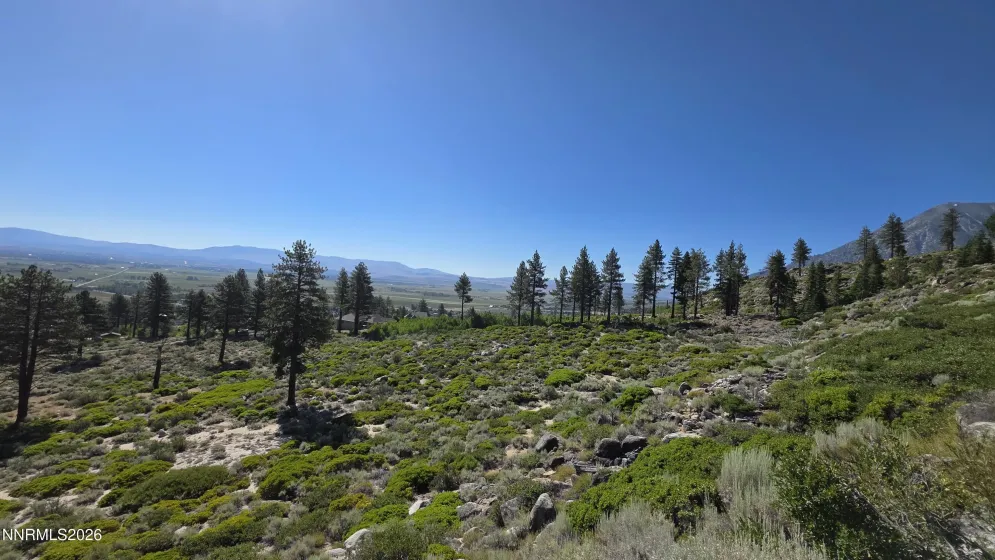 TBD Kingsbury Grade Kingsbury Grade, Gardnerville, Nevada 89460, ,Land,Residential,Kingsbury Grade,0,260008120