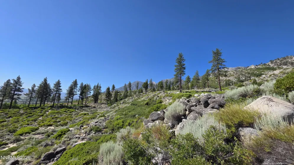 TBD Kingsbury Grade Kingsbury Grade, Gardnerville, Nevada 89460, ,Land,Residential,Kingsbury Grade,0,260008120