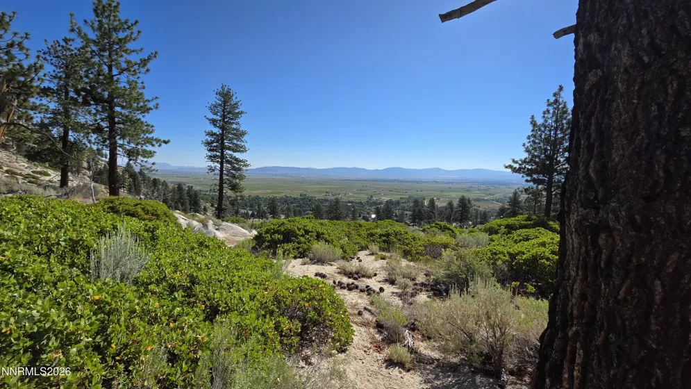 TBD Kingsbury Grade Kingsbury Grade, Gardnerville, Nevada 89460, ,Land,Residential,Kingsbury Grade,0,260008120