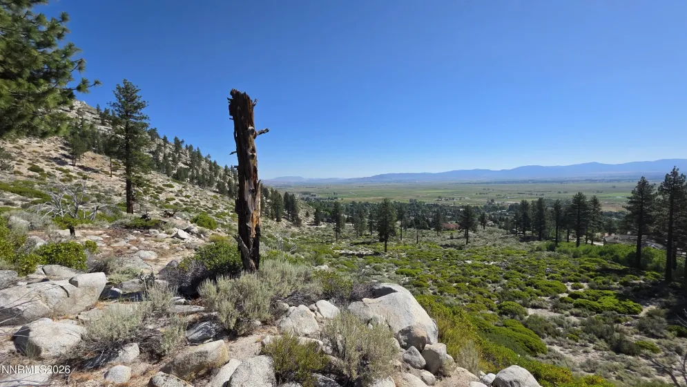 TBD Kingsbury Grade Kingsbury Grade, Gardnerville, Nevada 89460, ,Land,Residential,Kingsbury Grade,0,260008120