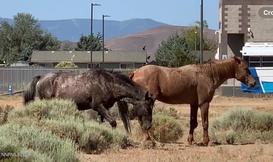 19 Wells Fargo, Dayton, Nevada 89403, ,Land,Residential,Wells Fargo,0,260008146