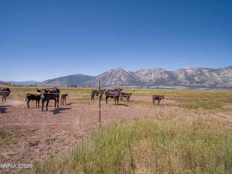 1225 Highway 88, Gardnerville, Nevada 89460, ,Land,Residential,Highway 88,0,260008175