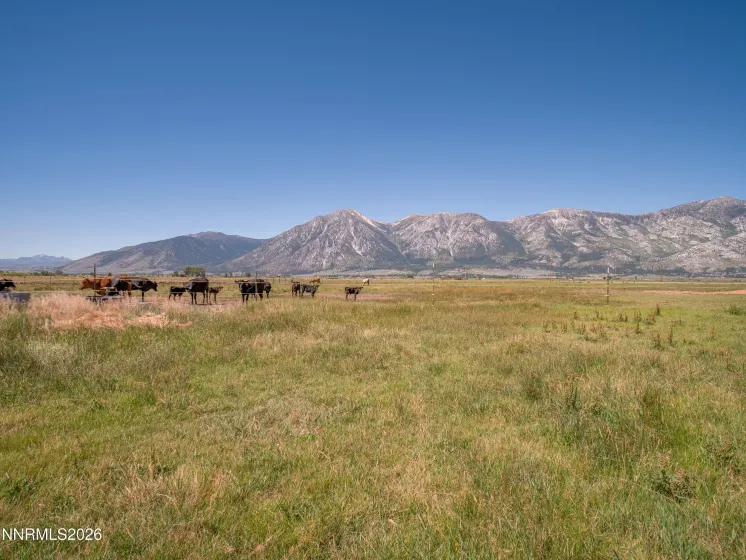 1225 Highway 88, Gardnerville, Nevada 89460, ,Land,Residential,Highway 88,0,260008175