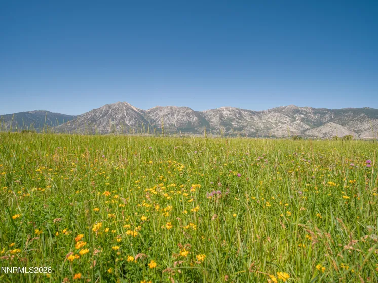 1225 Highway 88, Gardnerville, Nevada 89460, ,Land,Residential,Highway 88,0,260008175