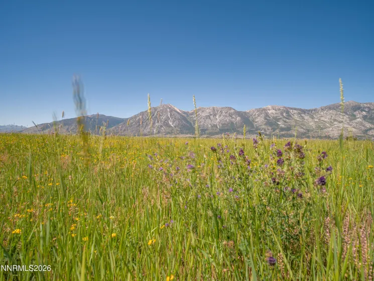 1225 Highway 88, Gardnerville, Nevada 89460, ,Land,Residential,Highway 88,0,260008175