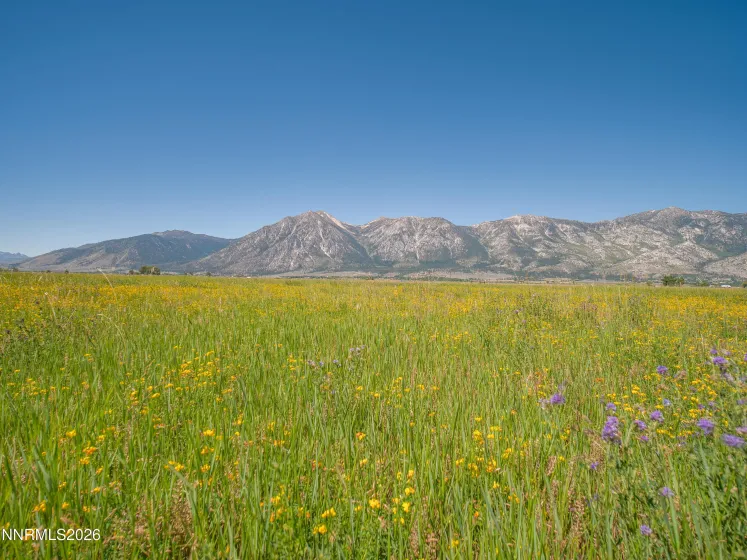 1225 Highway 88, Gardnerville, Nevada 89460, ,Land,Residential,Highway 88,0,260008175