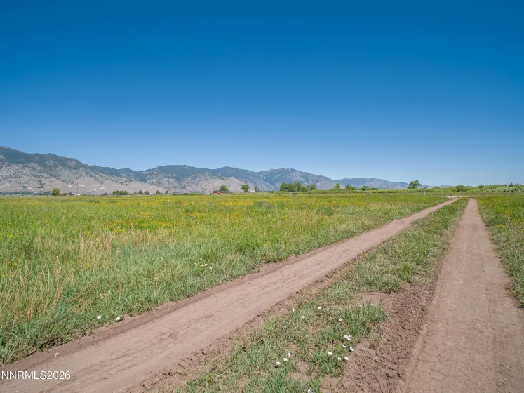 1225 Highway 88, Gardnerville, Nevada 89460, ,Land,Residential,Highway 88,0,260008175