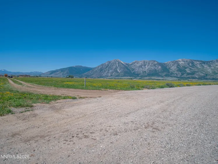 1225 Highway 88, Gardnerville, Nevada 89460, ,Land,Residential,Highway 88,0,260008175