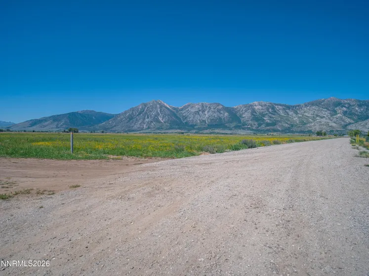 1225 Highway 88, Gardnerville, Nevada 89460, ,Land,Residential,Highway 88,0,260008175