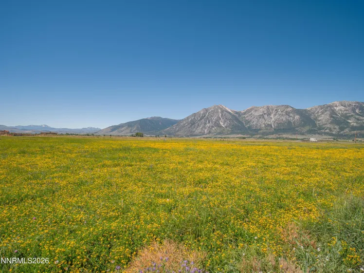 1225 Highway 88, Gardnerville, Nevada 89460, ,Land,Residential,Highway 88,0,260008175
