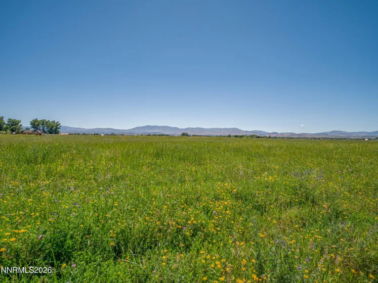 1225 Highway 88, Gardnerville, Nevada 89460, ,Land,Residential,Highway 88,0,260008175